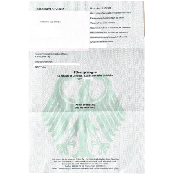 Traducción antecedentes penales Alemania