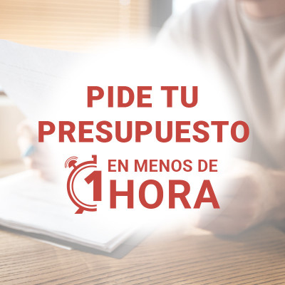 www.traduccioneslowcost.com presupuesto en menos de 1 hora